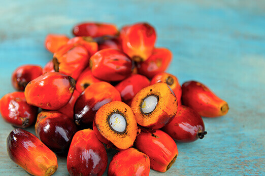 Use of RSPO-Certified Palm Oil